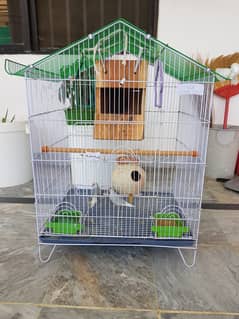 Silver Dove pair with cage setup 0