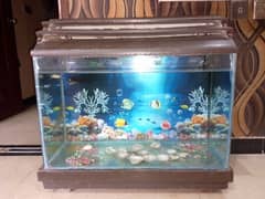 Aquorium Glass and wooden rack for sell