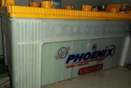 Phoenix Battery (in one-month warranty)