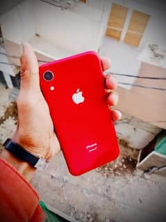 iphone xr 64GB 0