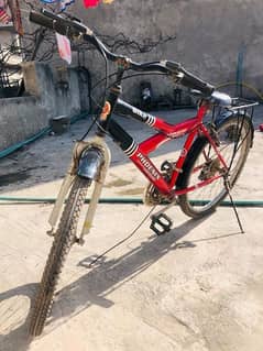 Phoenix bicycle (Gear)