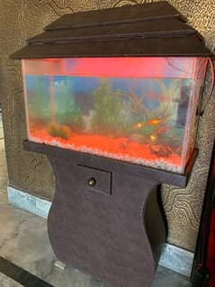 Fish Aquarium For sale (2.5ft) + 5 Fishes