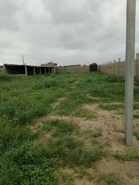 agricultural farm for sale 1000 sq yd 1