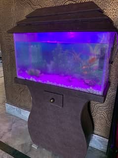 Fish Aquarium For sale (2.5ft) + 5 Fishes