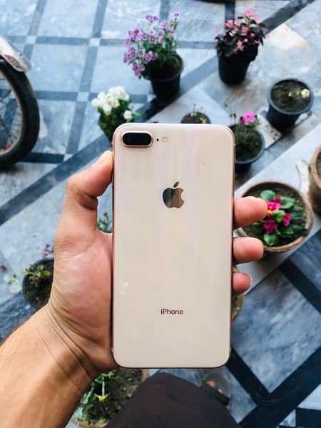 IPHONE 8PULS 256gb  official Pta Approved 3