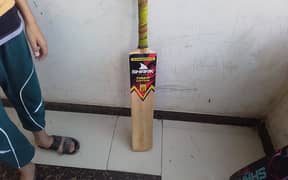 Cricket Bat Rawalkot Willow