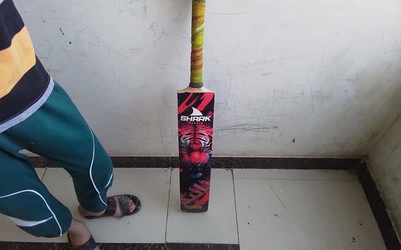 Cricket Bat Rawalkot Willow 2