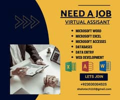 Your Professional Virtual Assistant (Computer Expert) 0
