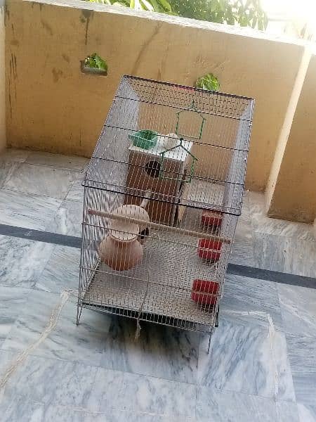 Cage/New/Special for parrots. 2