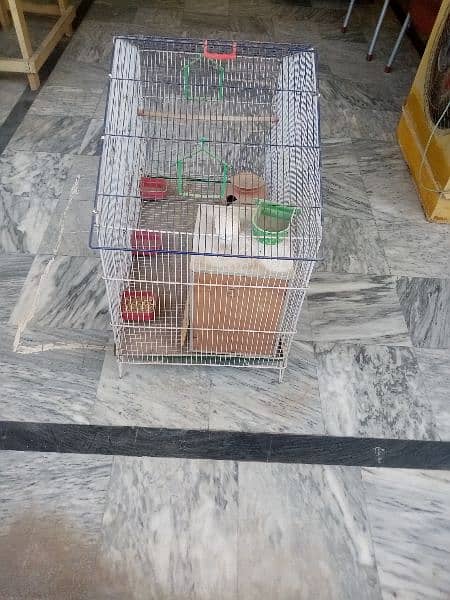 Cage/New/Special for parrots. 3