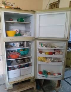 extra large pel fridge for sale 0