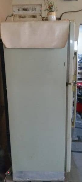 extra large pel fridge for sale 1