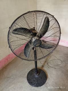 pedestal fan for sale in Dha phase 5,6