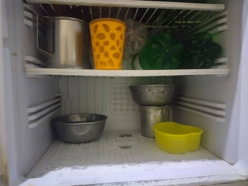 PEL Fridge for Sale 1