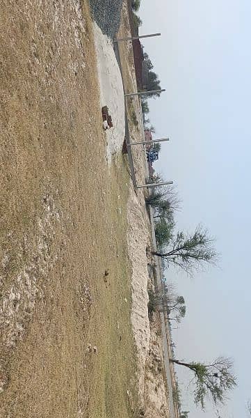 Kamarshal Jaga Kolo Road Nazad Chatha Race Mill 5