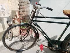 Bianchi cycle for adult. 03361883645 Rawalpindi.