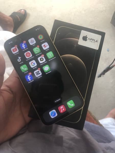 iphone 12 pro max gold 10