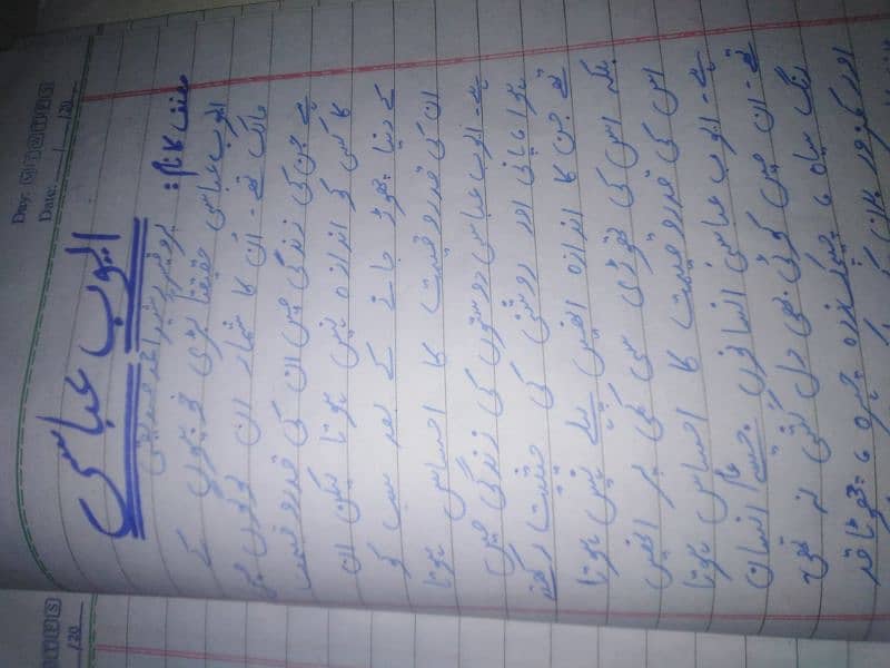 I can write urdu and english assignments 2