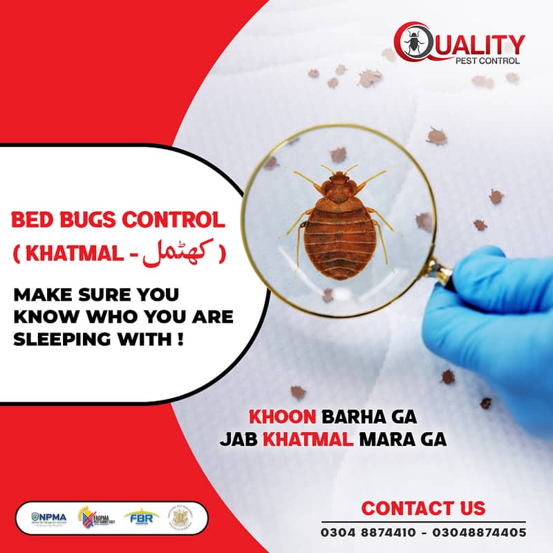 Deemak (دیمک) Termite Control, Beds bug and Water Tank cleaning 2