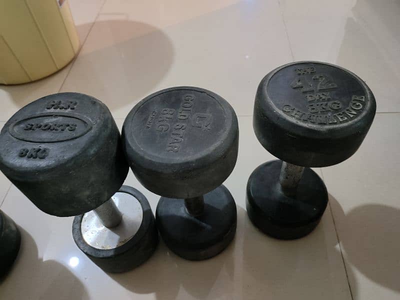 Dumbbells and Bench for Sale 3