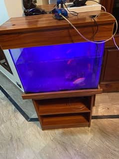aquarium \three fish