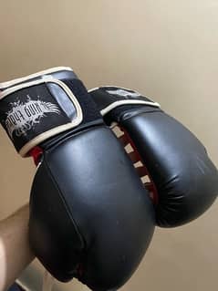 BOXING GLOVES AND BAG (Pratice)
