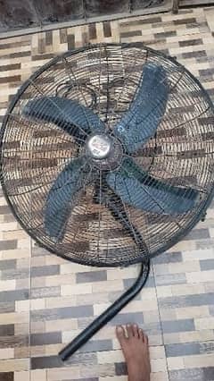 preseatal fan full size
