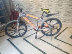 PLUS mountain bike 0