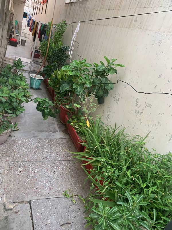 Double Storey 240 Square Yards House Available In Gulshan-e-Iqbal - Block 5 For sale 1