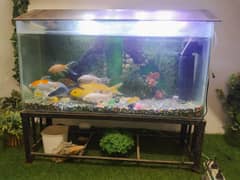 Fish aquarium 36*12*24 Inches for sale