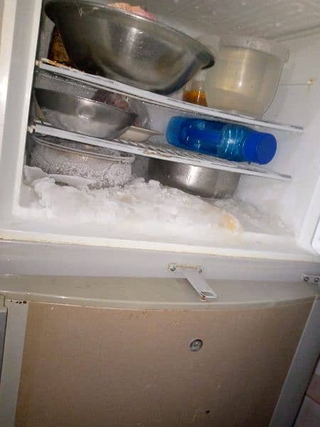 Freezer For sale 1