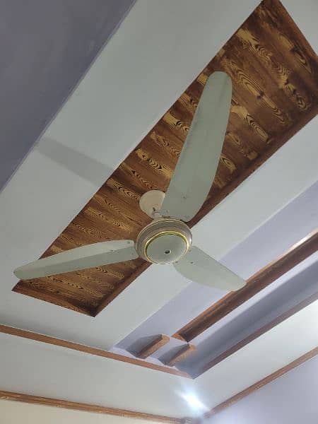 Celling fans 1