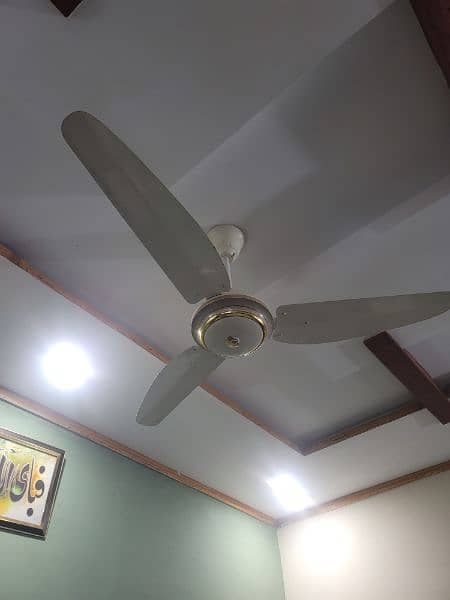 Celling fans 2