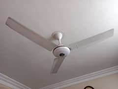 fans available for sell 0