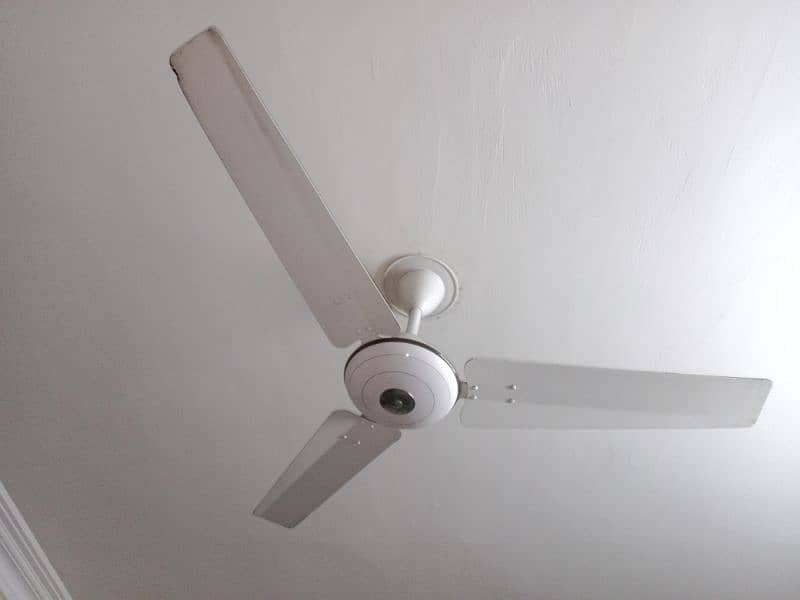 fans available for sell 1