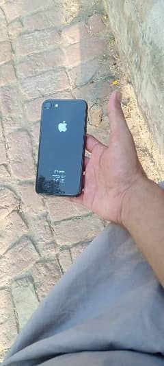 I phone 8.64 GB  Pta prove