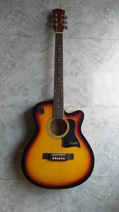 Acoustic Guitar Dream Maker Medium Size 0