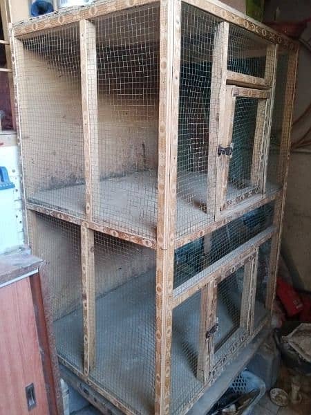 (Large-Cage) For Hen or Birds with Large Space & Good Strong Condition 2