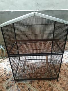 Cockatoo cage