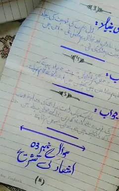 I can write urdu assignment