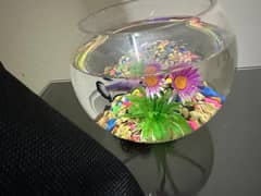 Fish Bowl aquairium 0