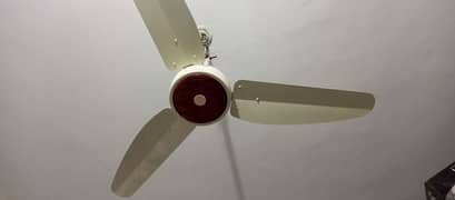 Ornate fans a1 condition