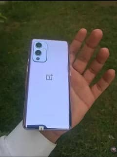 OnePlus 9 12 gb