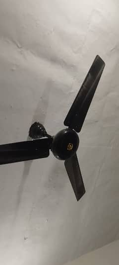 3 ceiling fan for alae