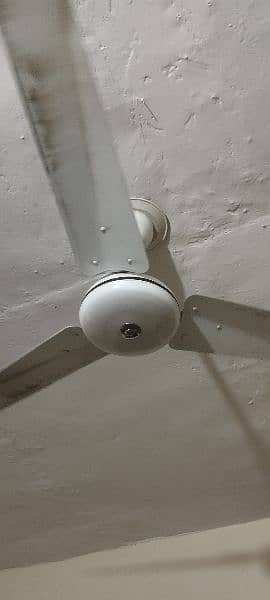 3 ceiling fan for alae 1