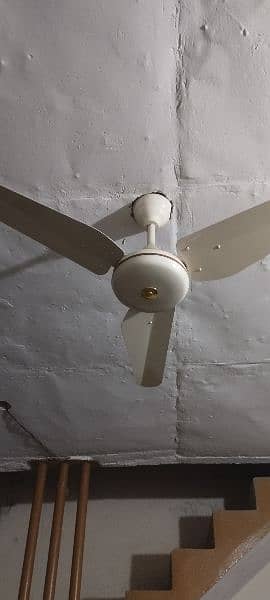 3 ceiling fan for alae 2