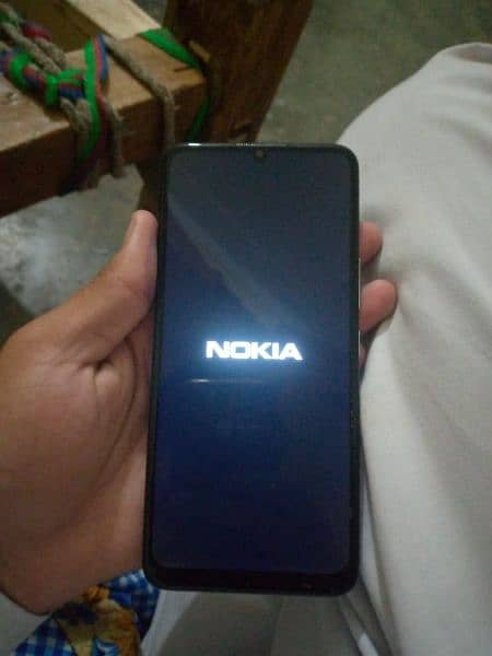 Nokia C31 3