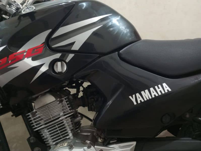 Yamaha YBR-G 19