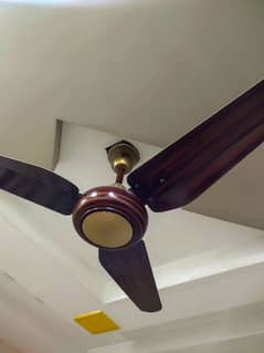 SK Orignal Luxury Ceiling Fan