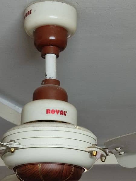 Royal Deluxe Regent Ceiling Fan 3